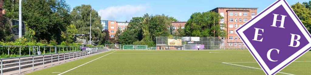 Professor-Reinmuller-Platz